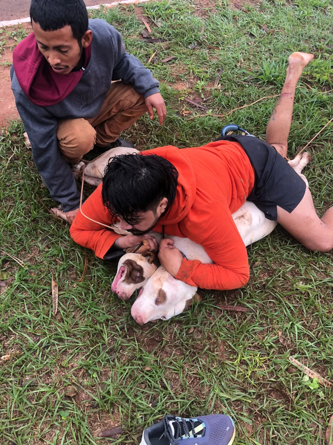 Maestro de Muay Thai enfrenta a pitbulls en Ponta Porã y salva su vida