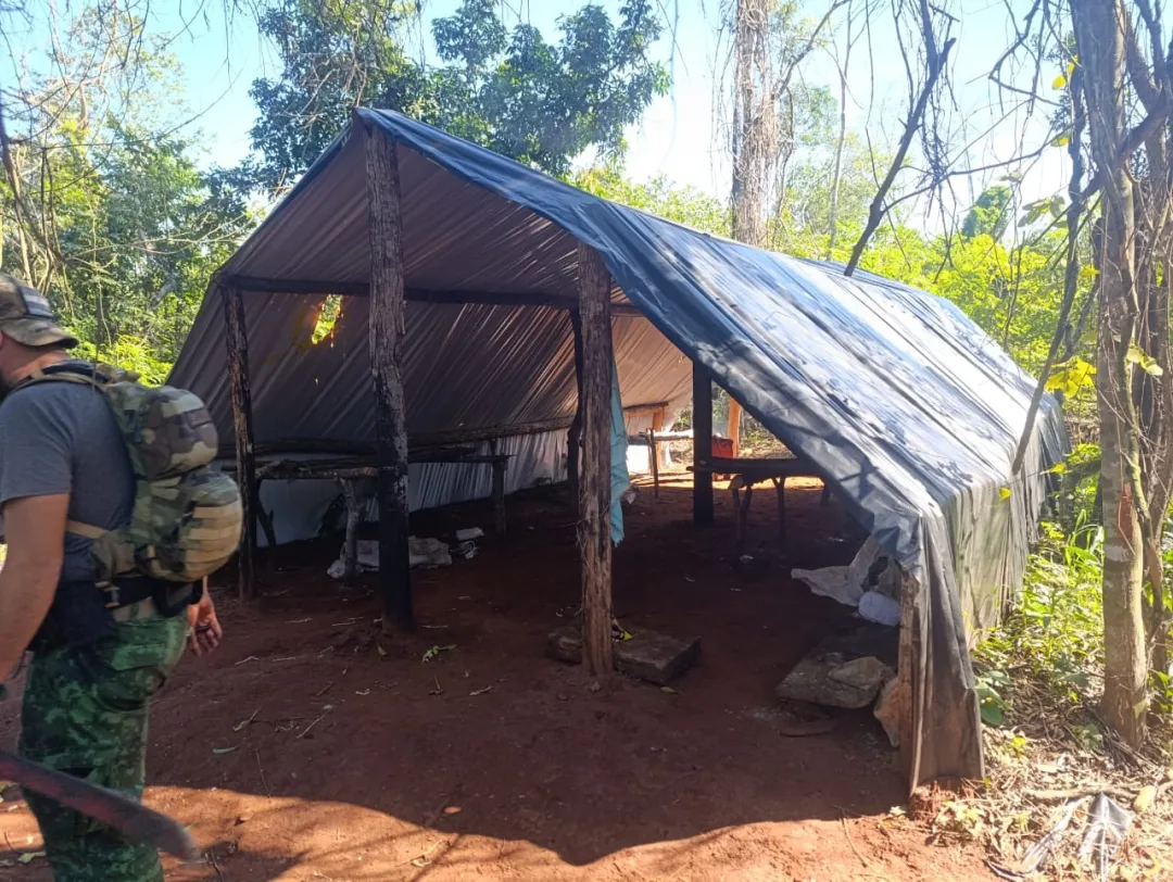 Operación Nueva Alianza: 230 toneladas de marihuana anuladas en Amambay en solo tres días
