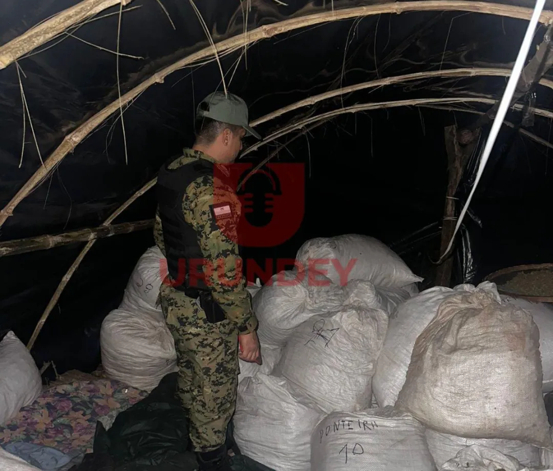 Nueve detenidos y más de cuatro toneladas de marihuana incautadas en Capitán Bado