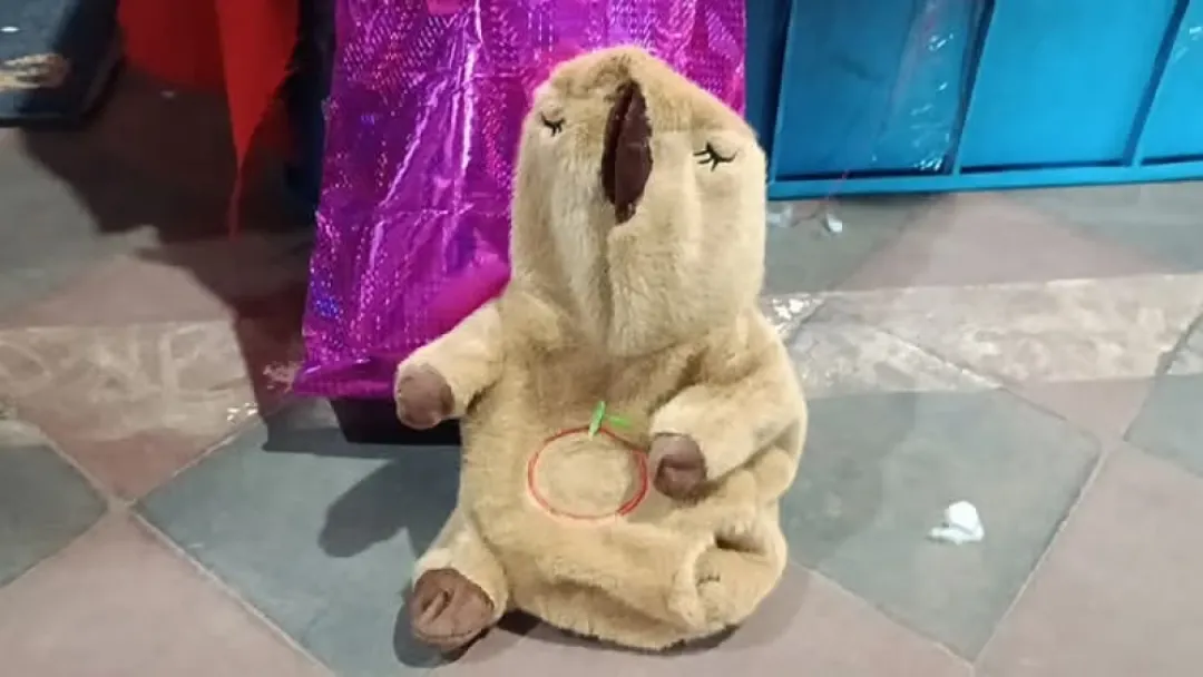 Senad halla un peluche de capibara con cocaína, éxtasis y LSD en Concepción