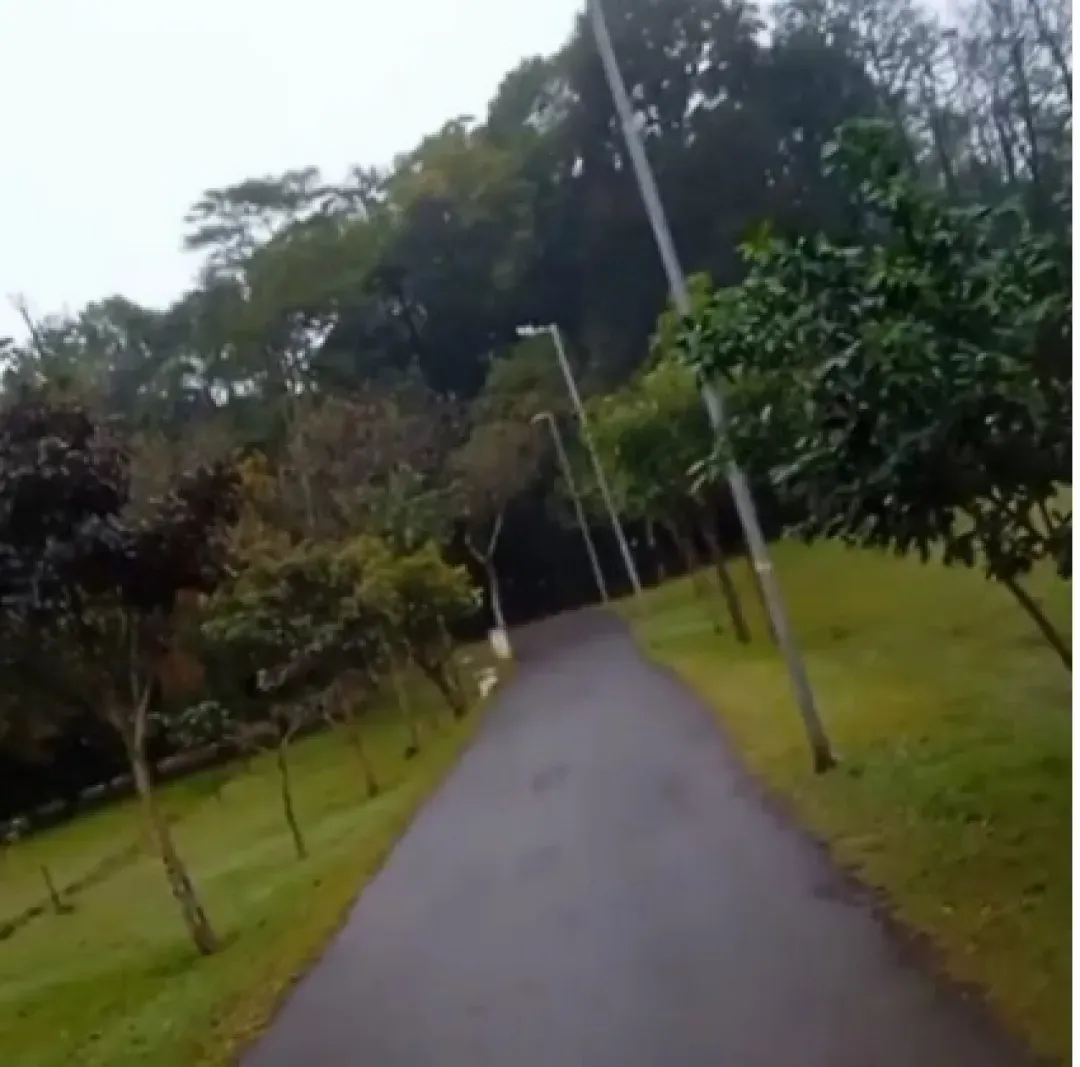 Intento de abuso en reserva natural de Ponta Porã alarma a usuarios